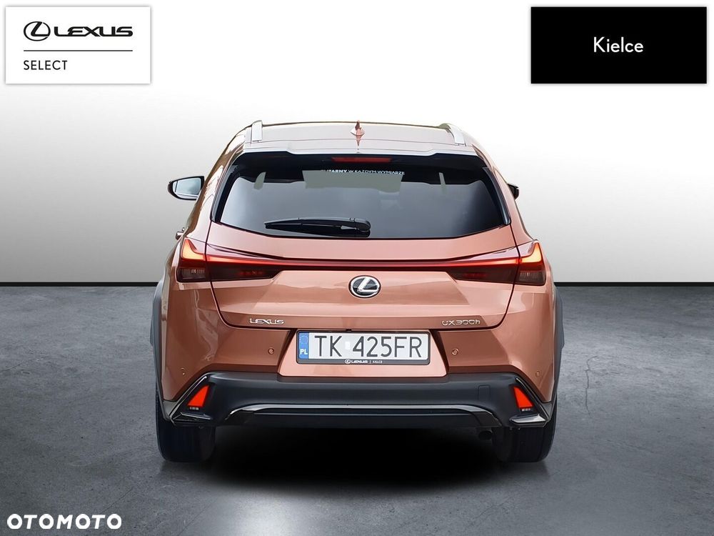 Lexus Ux 2025 photo 4