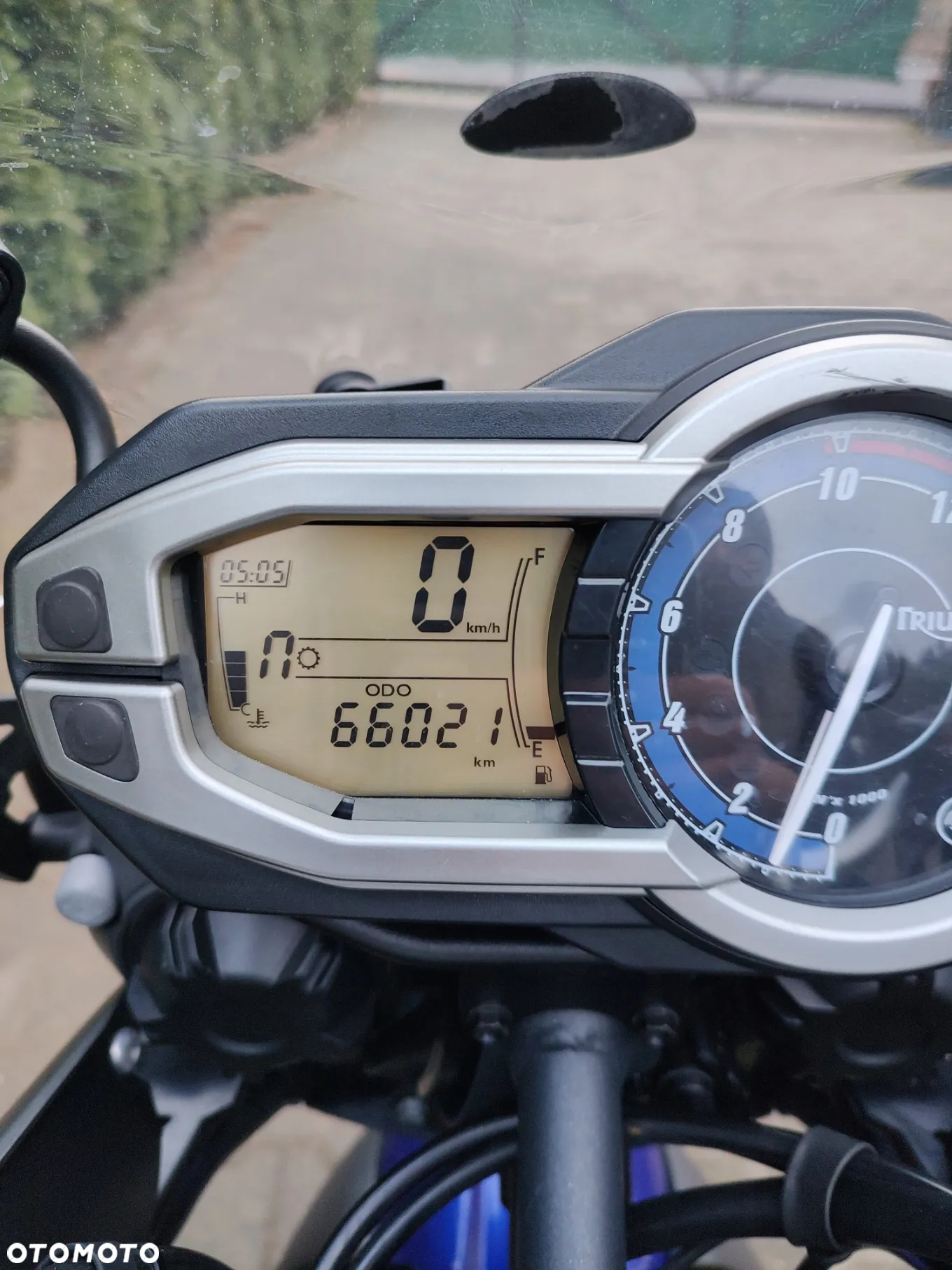 Triumph Tiger - 18
