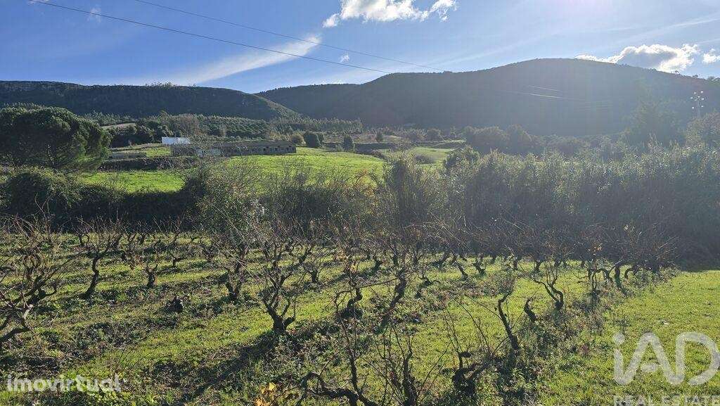 Terreno para construção em Lamas e Cercal - Grande imagem: 5/10