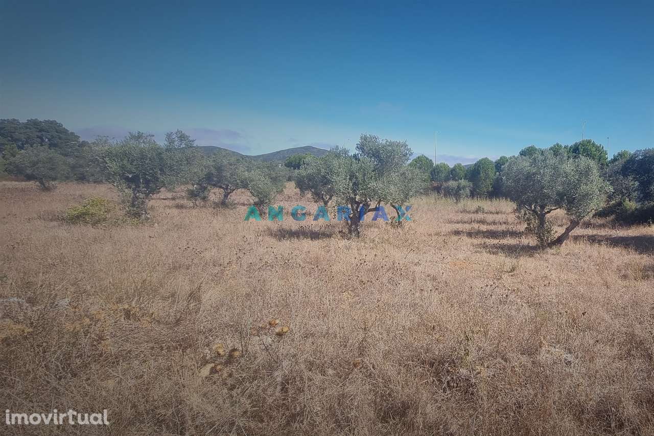 ANG1195 - Terreno para Venda em Alcanena, Santarém - Grande imagem: 4/13