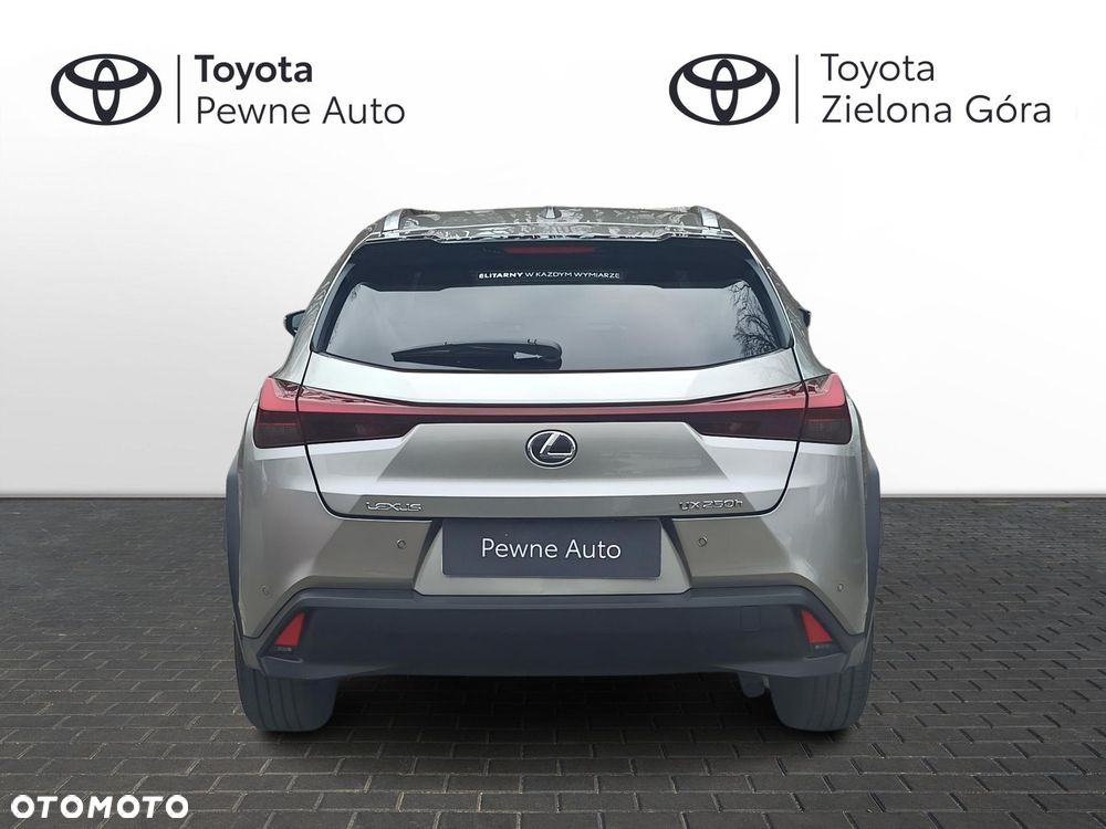 Lexus UX 250h GPF Business 2WD - 5