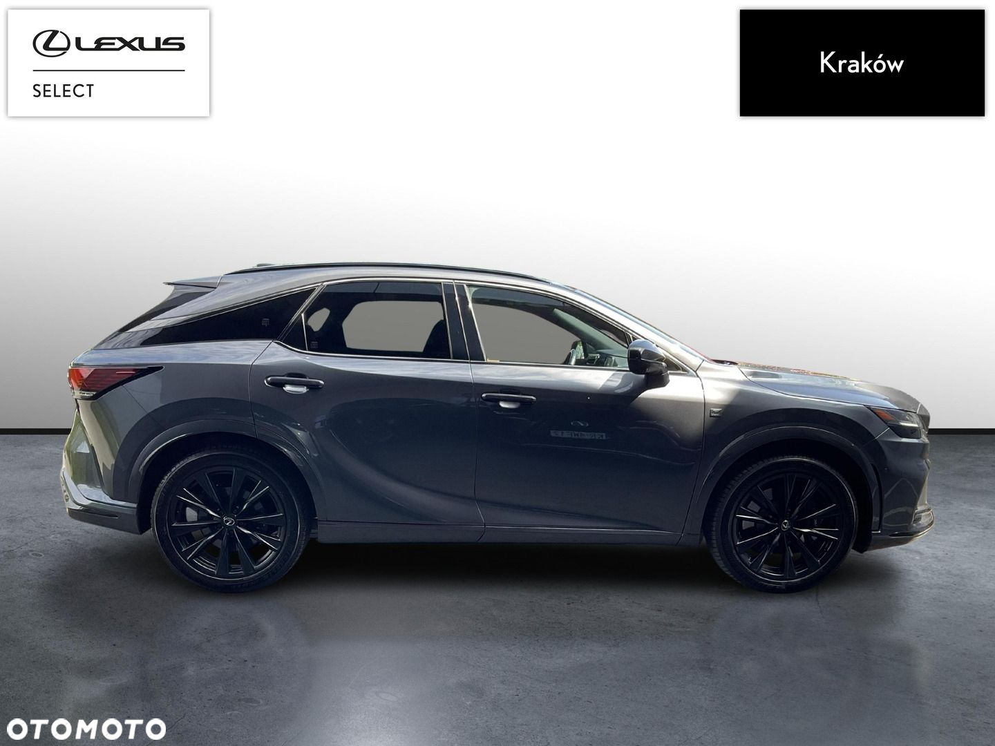 Lexus RX - 6