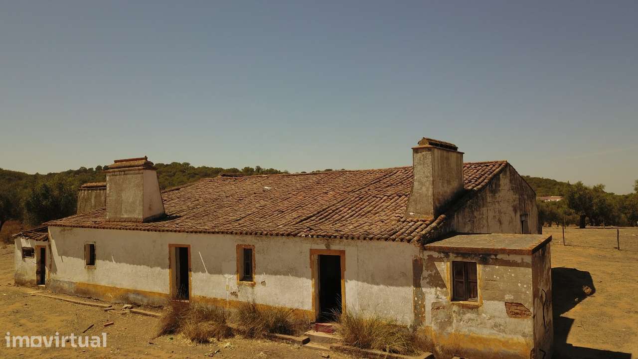 20 HECTARES COM OLIVAL E 417 M² C p/ RECUPERAR NO CORAÇÃO DO ALENTEJO - Grande imagem: 5/56
