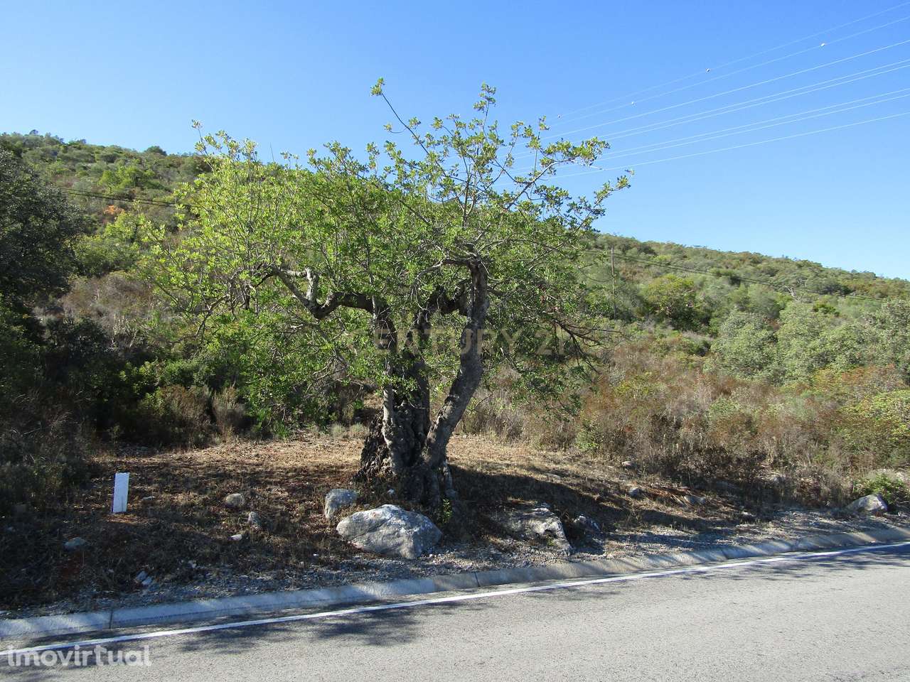 Terreno Rústico em São Brás de Alportel - Grande imagem: 4/6