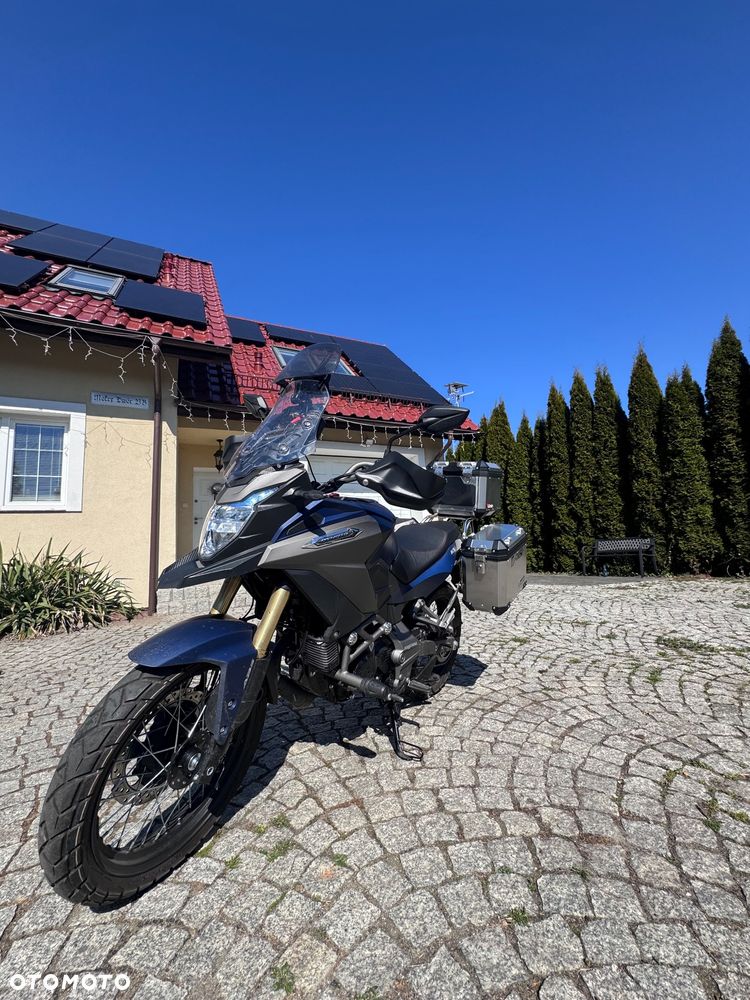 Daytona Dymoto 125 X - 5