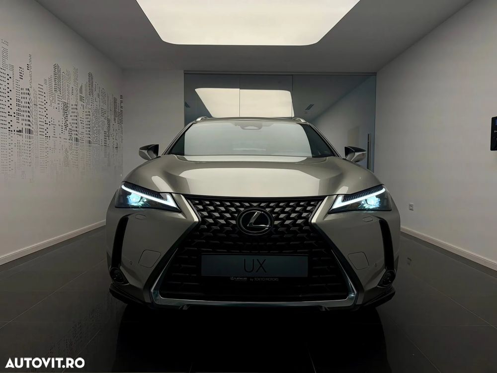 Lexus UX 300h AWD CVT HEV Business - 5