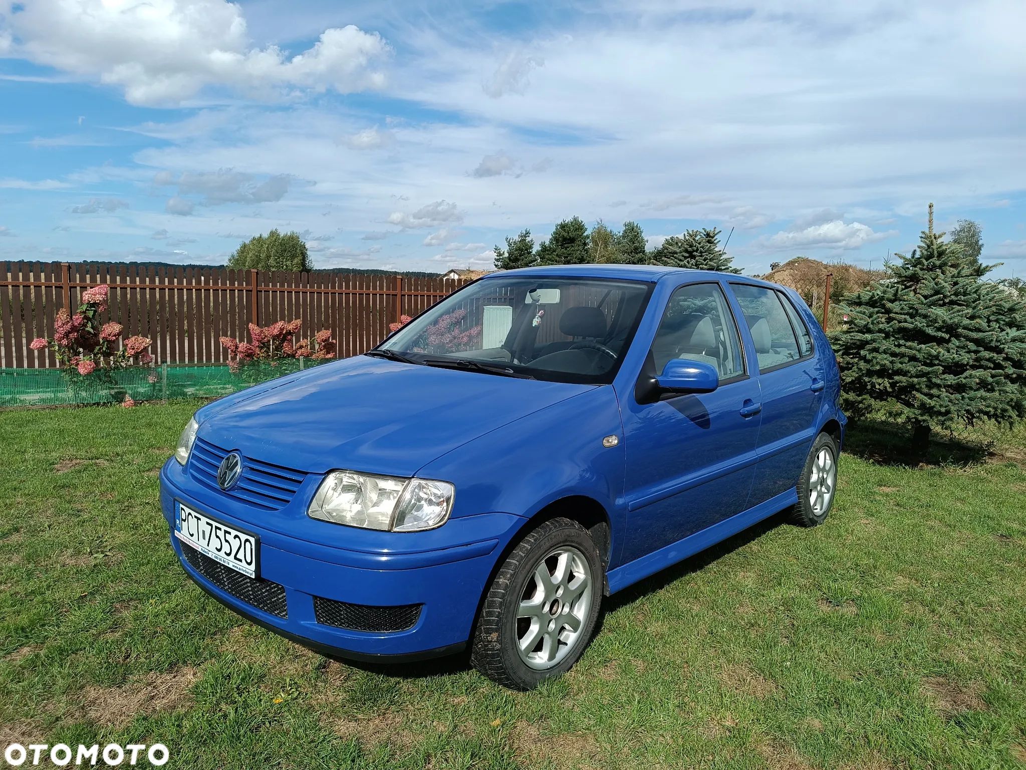 Volkswagen Polo - 1