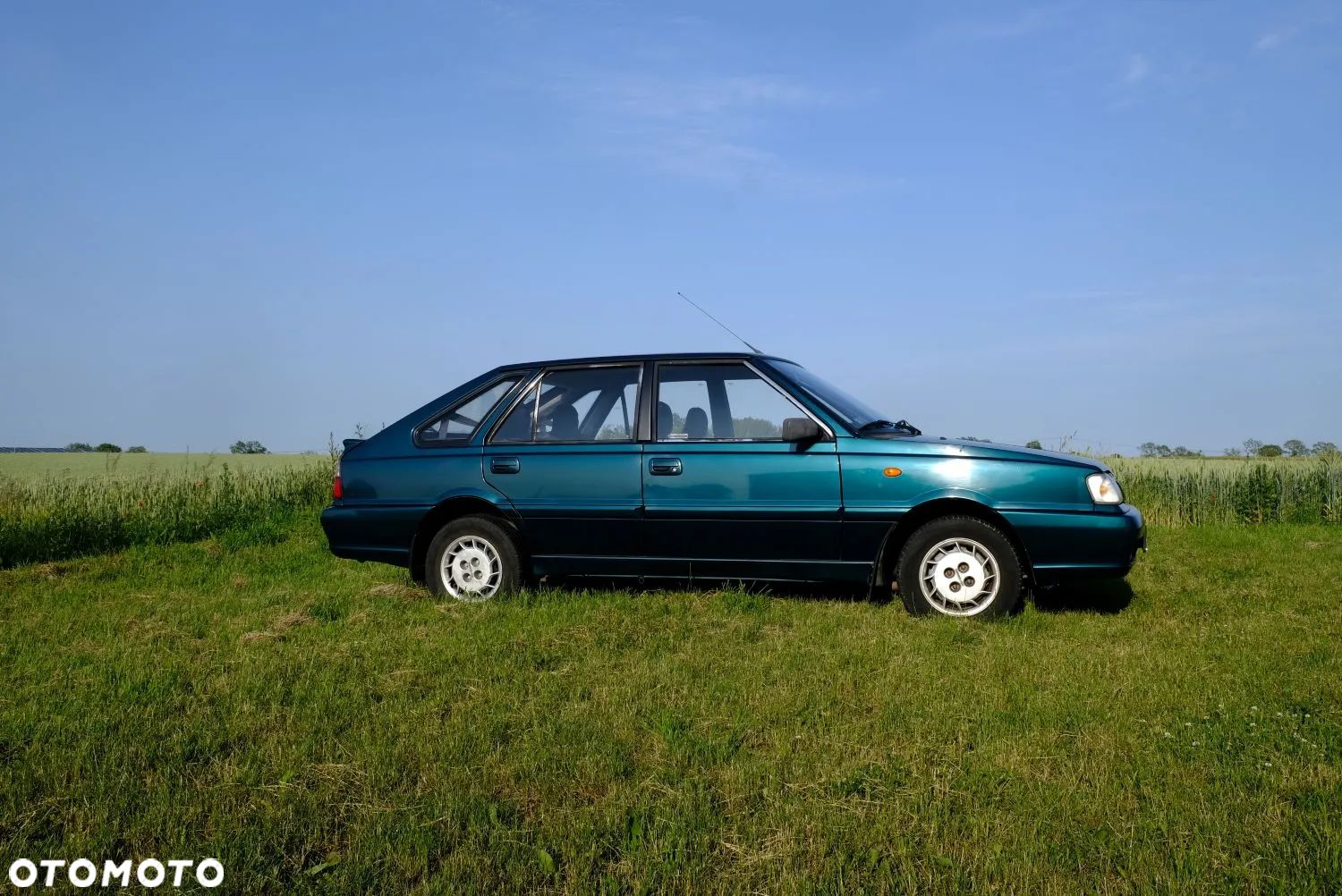 Polonez Caro - 1