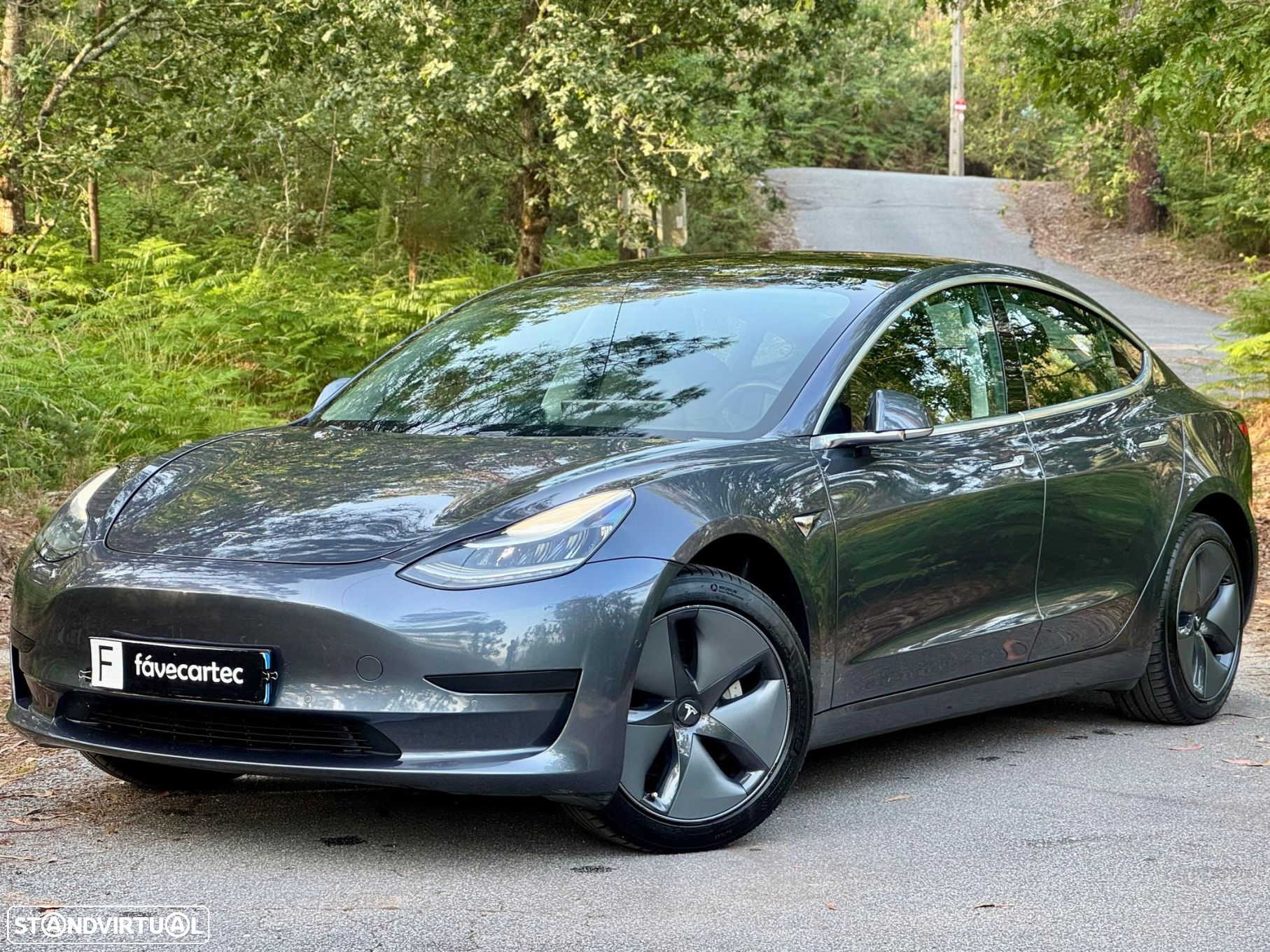 Tesla Model 3 Standard Range Plus RWD - 15