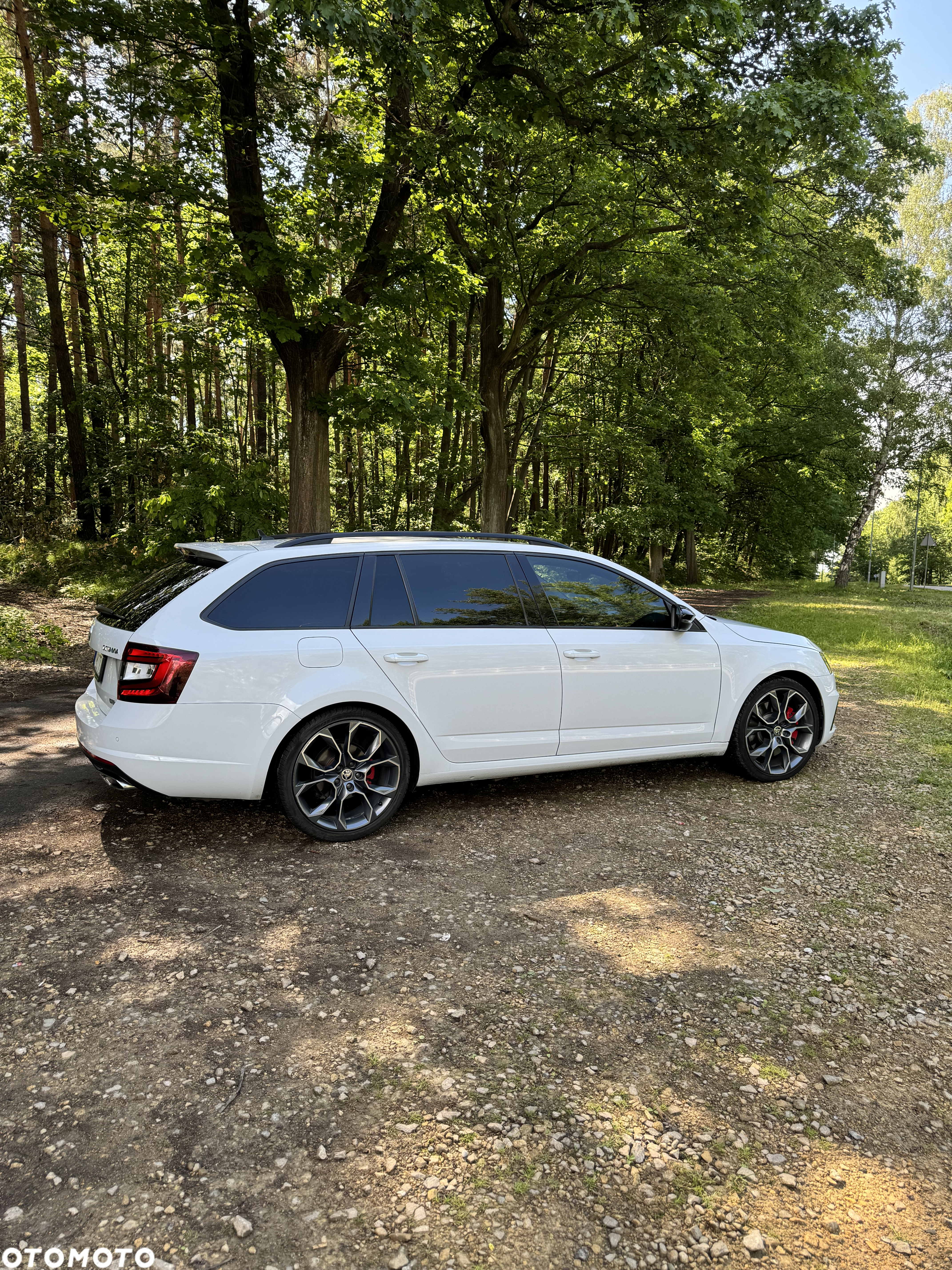 Skoda Octavia 2.0 TSI RS 230 DSG - 24