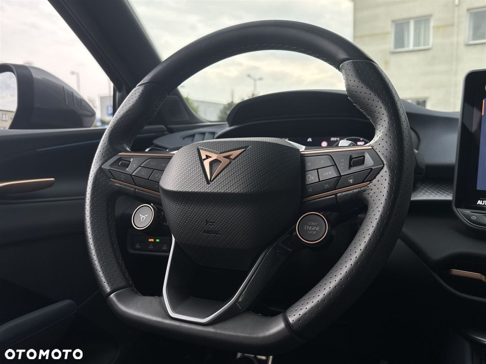 Cupra Terramar - 9
