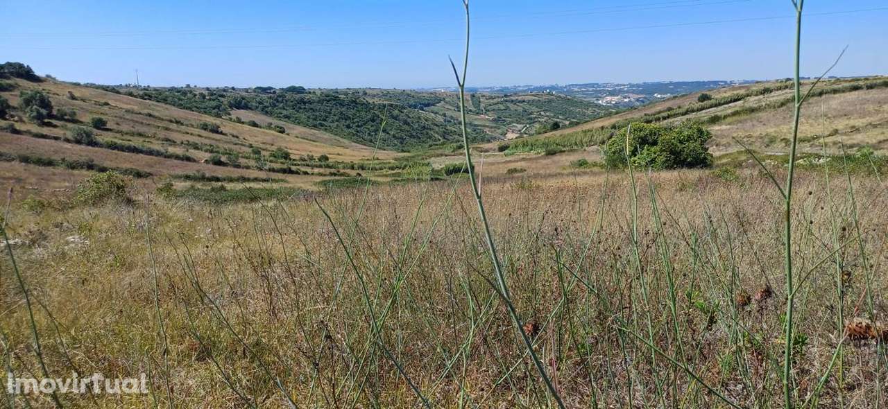 Terreno  para venda - Grande imagem: 3/8