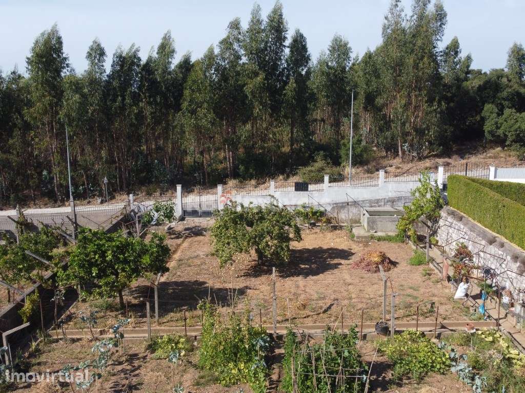 Terreno urbano próximo do Parque Verde do Bonito no Entroncamento -... - Grande imagem: 5/13