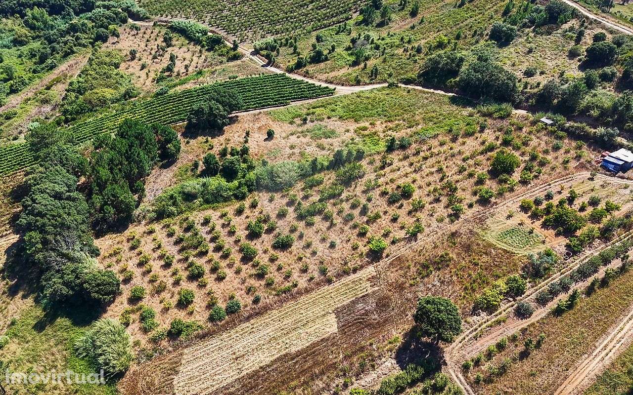 Terreno  para venda - Grande imagem: 4/40