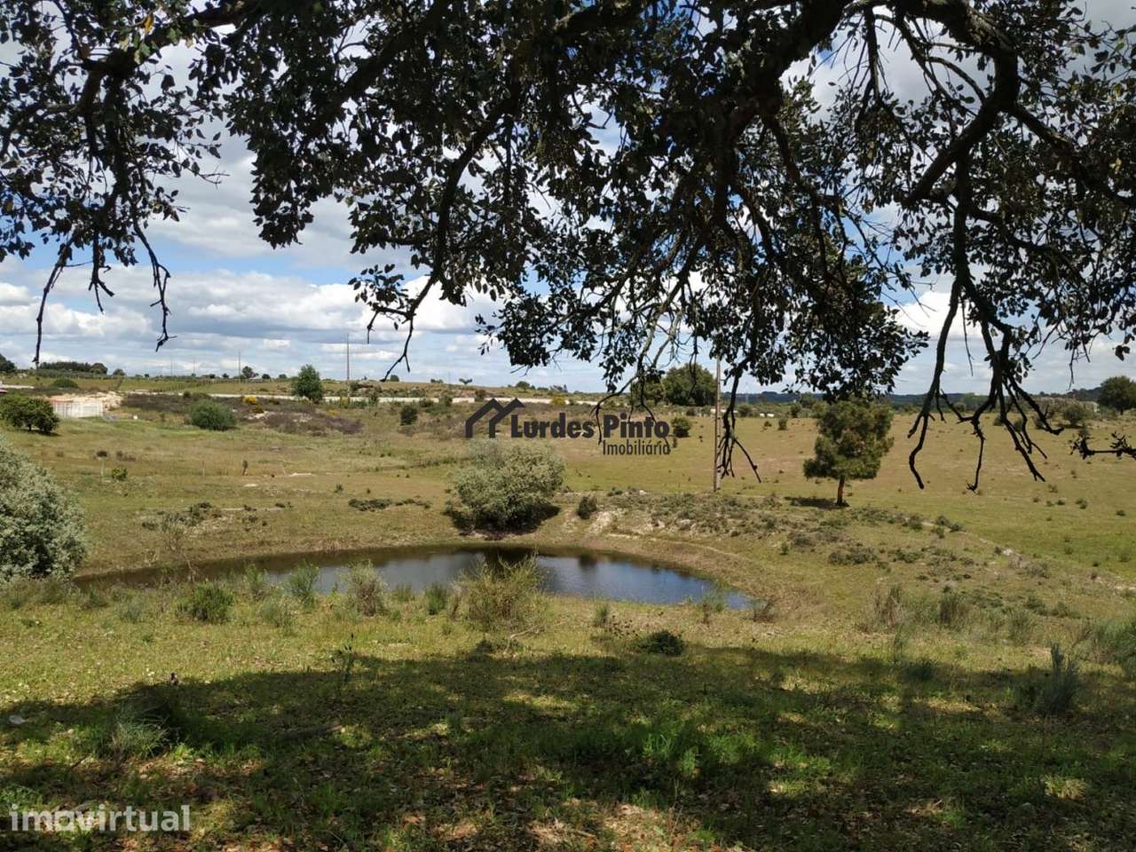 Terreno em Castelo Branco - Grande imagem: 2/7