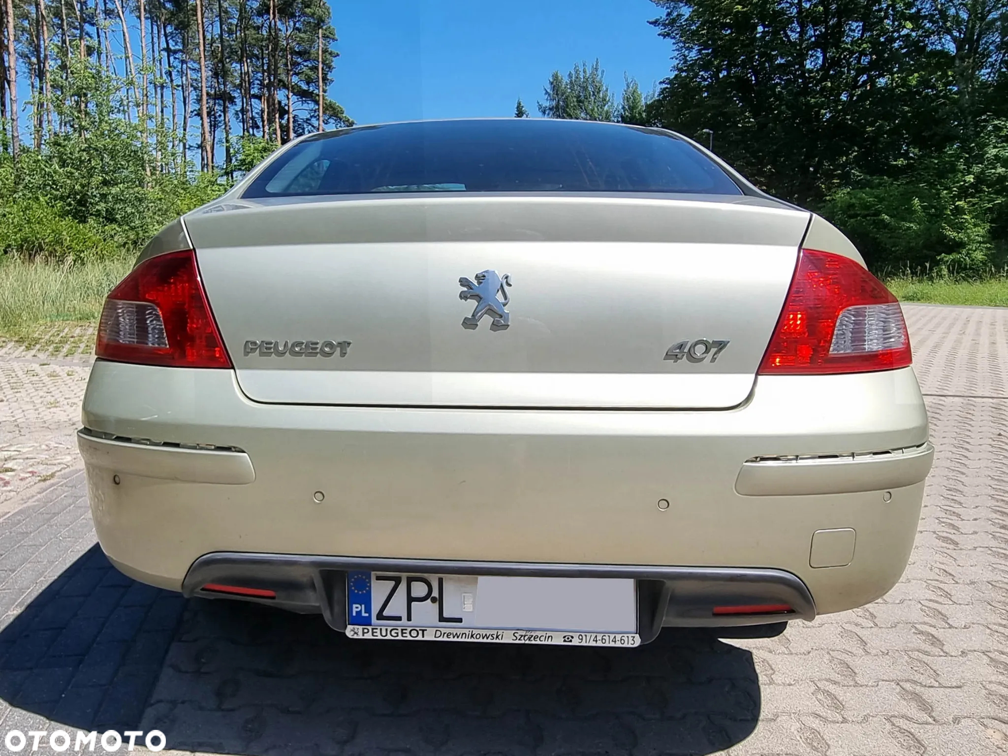 Peugeot 407 2.0 HDi Premium Navtech - 8