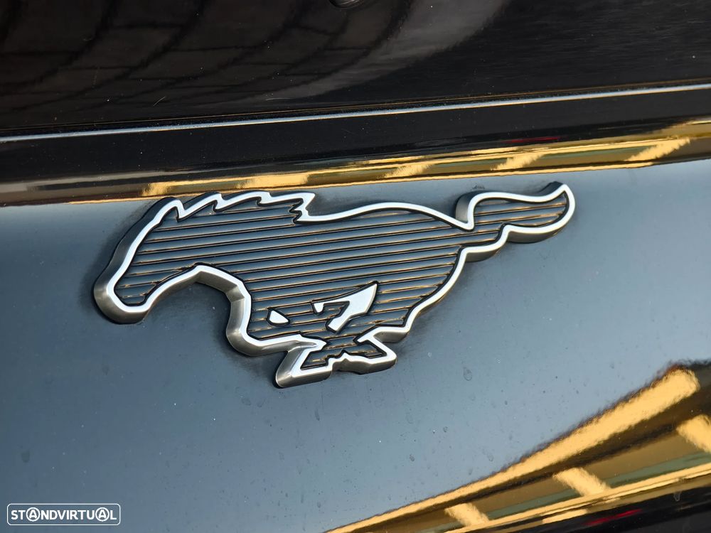 Ford Mustang Mach-E Standard - 28