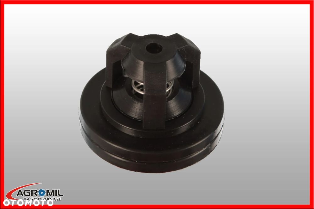 Zaworek Pompy P-120 Biardzki opriskiwacz - 1