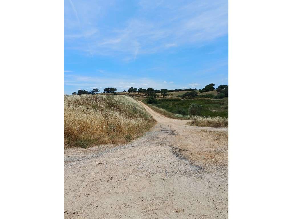 Herdade Agrícola em Aljustrel - Grande imagem: 4/20