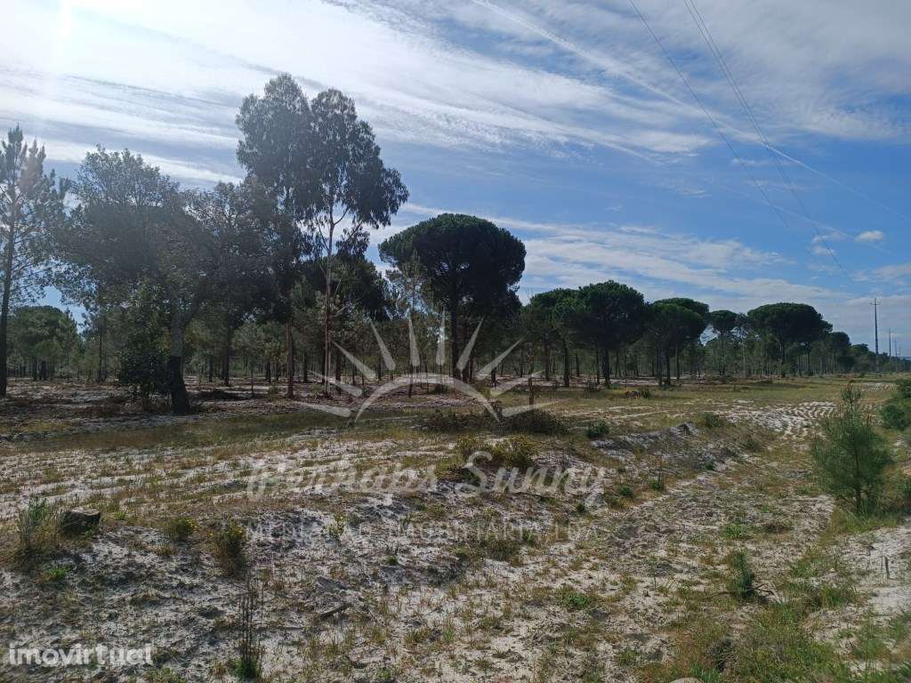 Herdade Bicas - Comporta - Grande imagem: 4/25