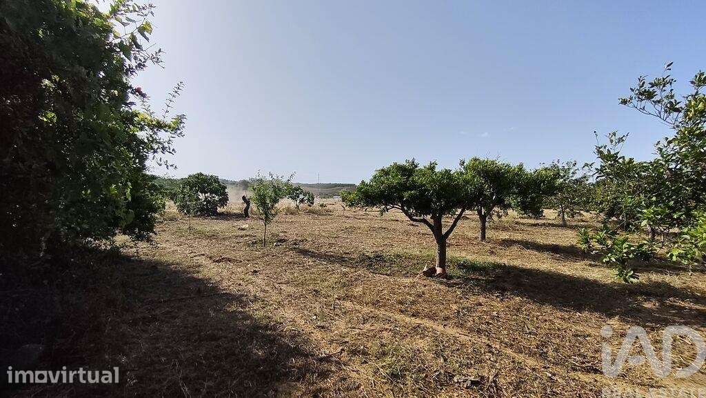 Moradia térrea em Conceição e Estoi de 140 m2 - Grande imagem: 4/7