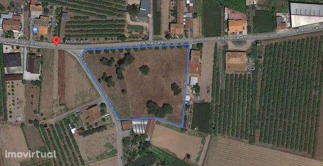 Terreno para construção de moradias em Anadia - Grande imagem: 5/12