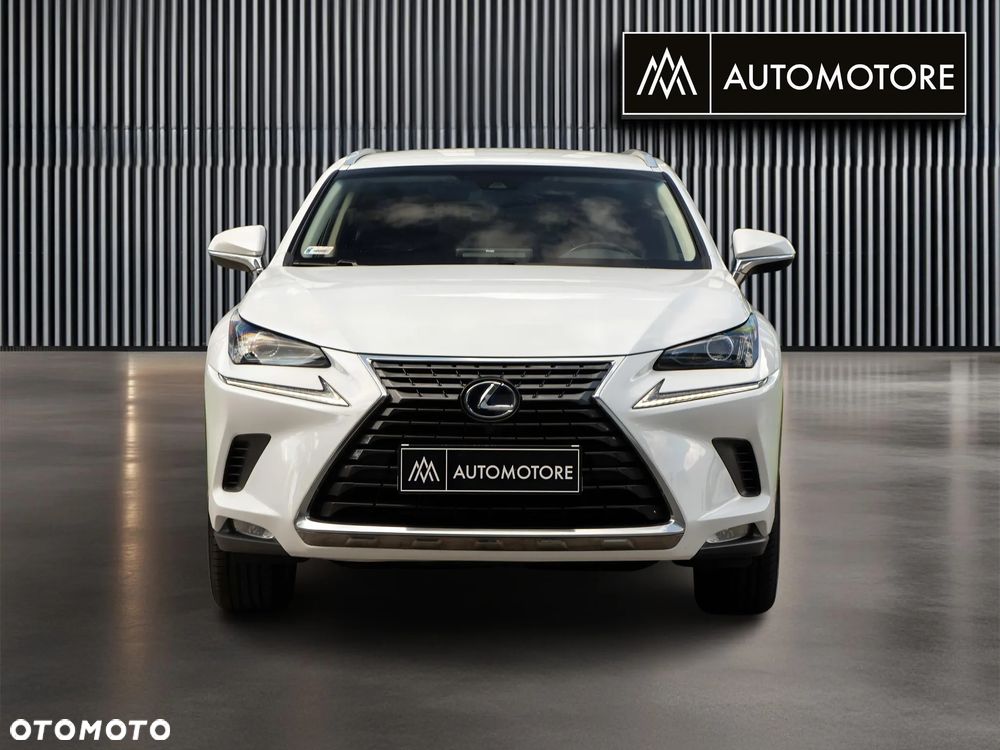Lexus NX 300h Business Edition AWD - 4