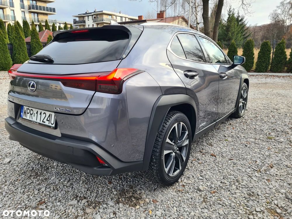 Lexus UX - 5