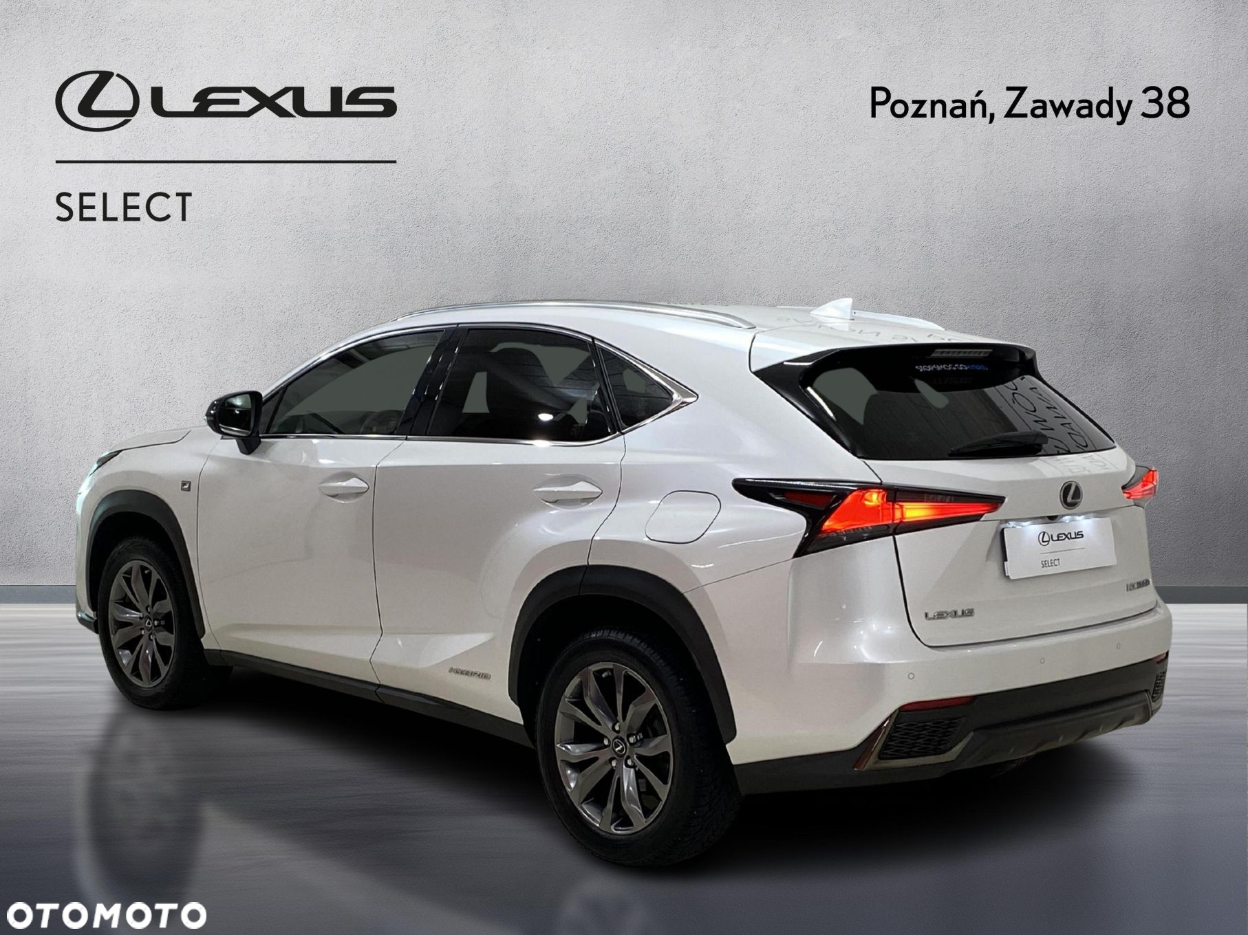 Lexus NX 300h F Sport Edition AWD - 5