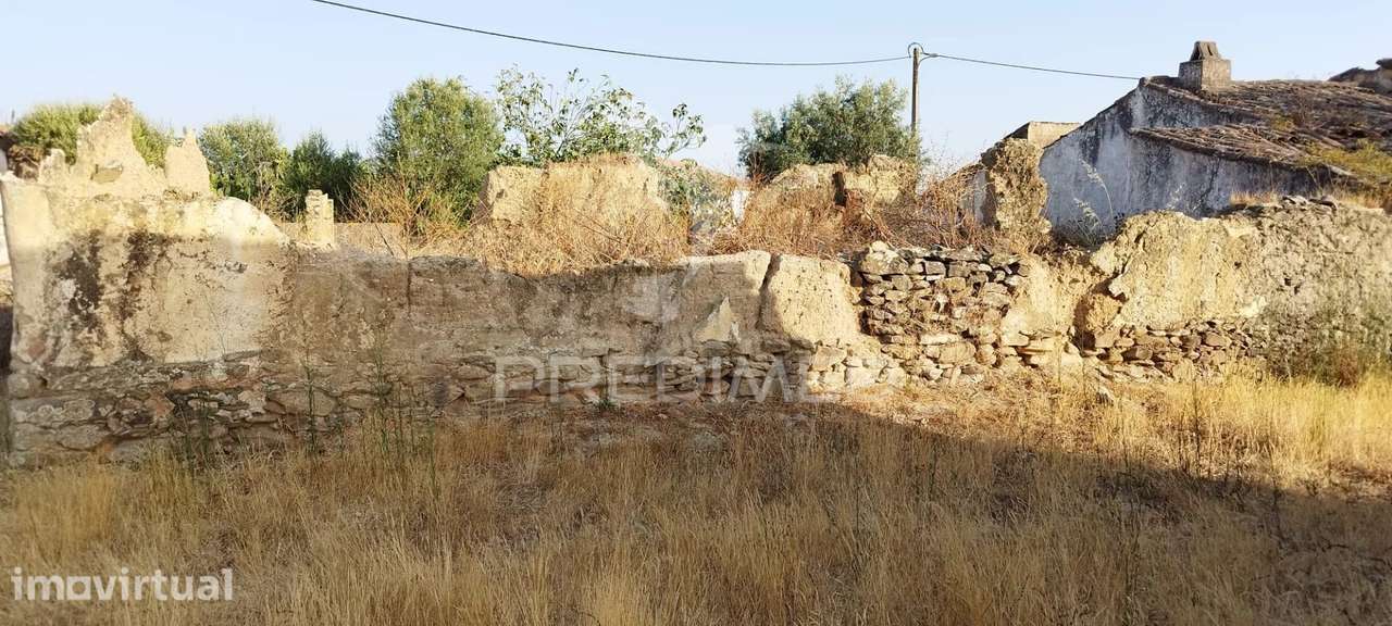 HERDADE DE 55,9 HA EM OURIQUE | EXPLORAÇÃO AGRÍCOLA E PECUÁRIA | CU... - Grande imagem: 2/10