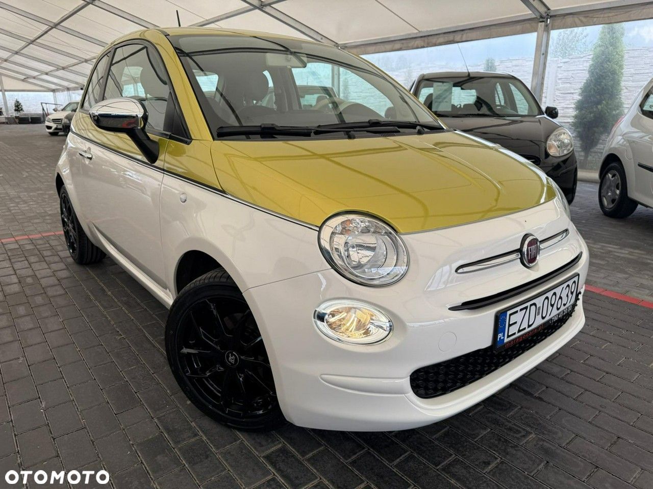 Fiat 500 - 1