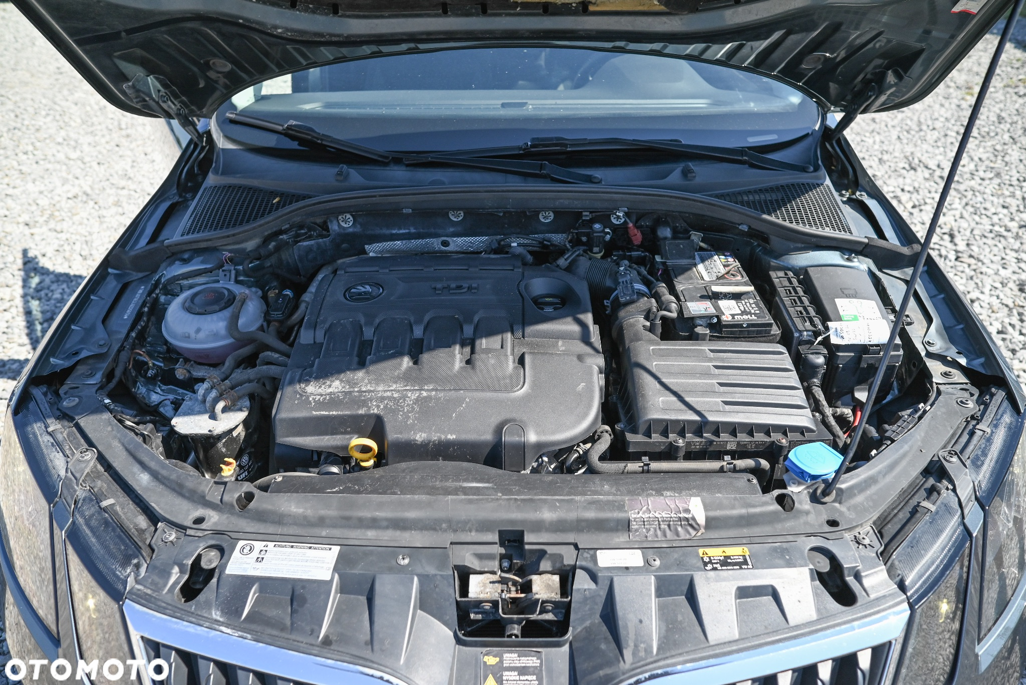 Skoda Octavia - 17