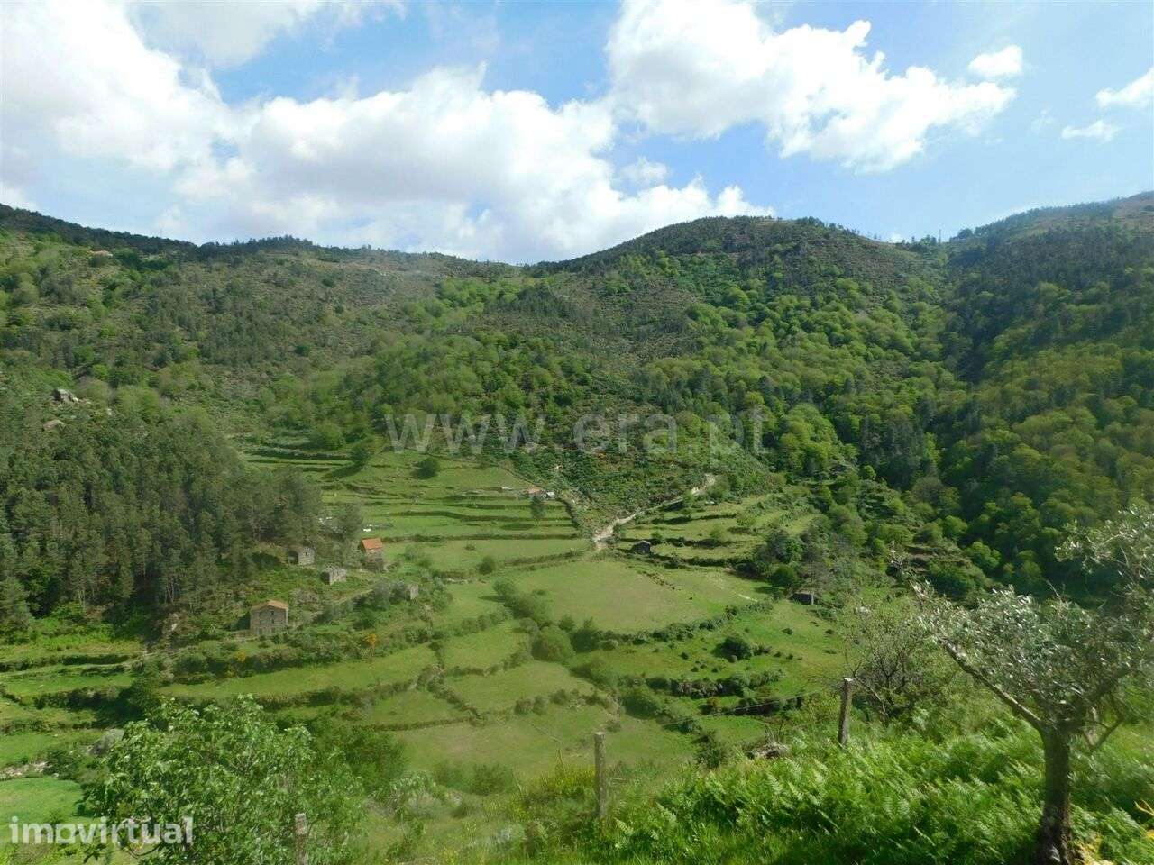 Quinta / Seia, Loriga - Grande imagem: 2/20