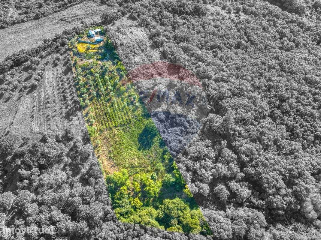 Terreno  para venda - Grande imagem: 2/5