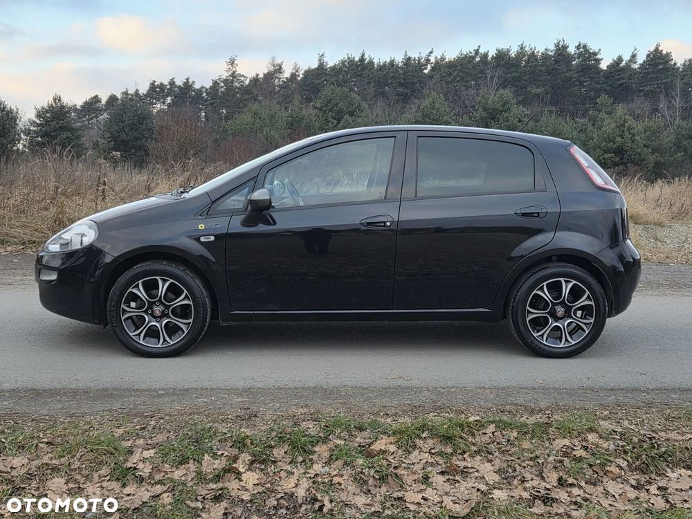 Fiat Punto 1.4 Young - 4