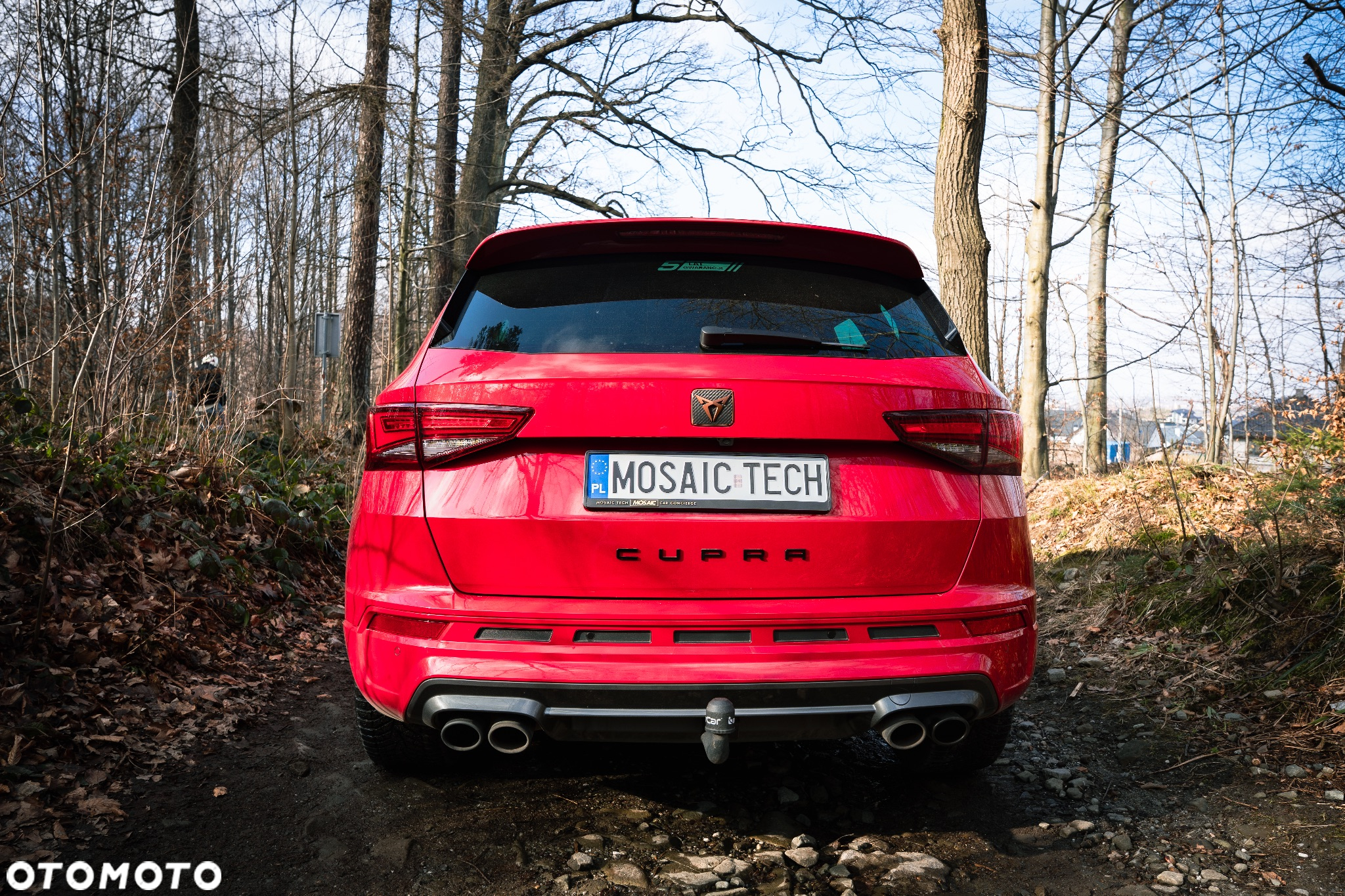 Cupra Ateca 2.0 TSI 4Drive DSG - 7