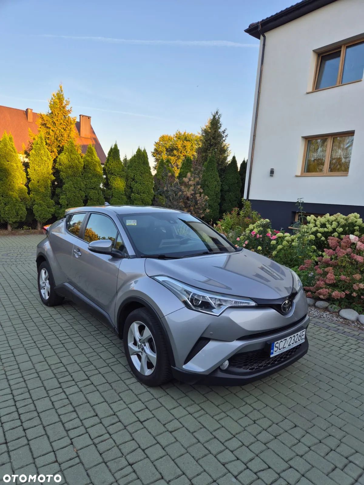 Toyota C-HR 1.2 T Dynamic - 1