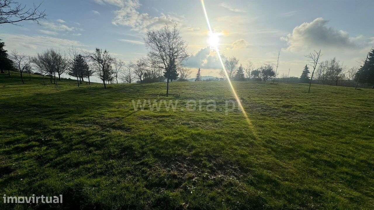 Terreno / Baião, Campelo e Ovil - Grande imagem: 3/7
