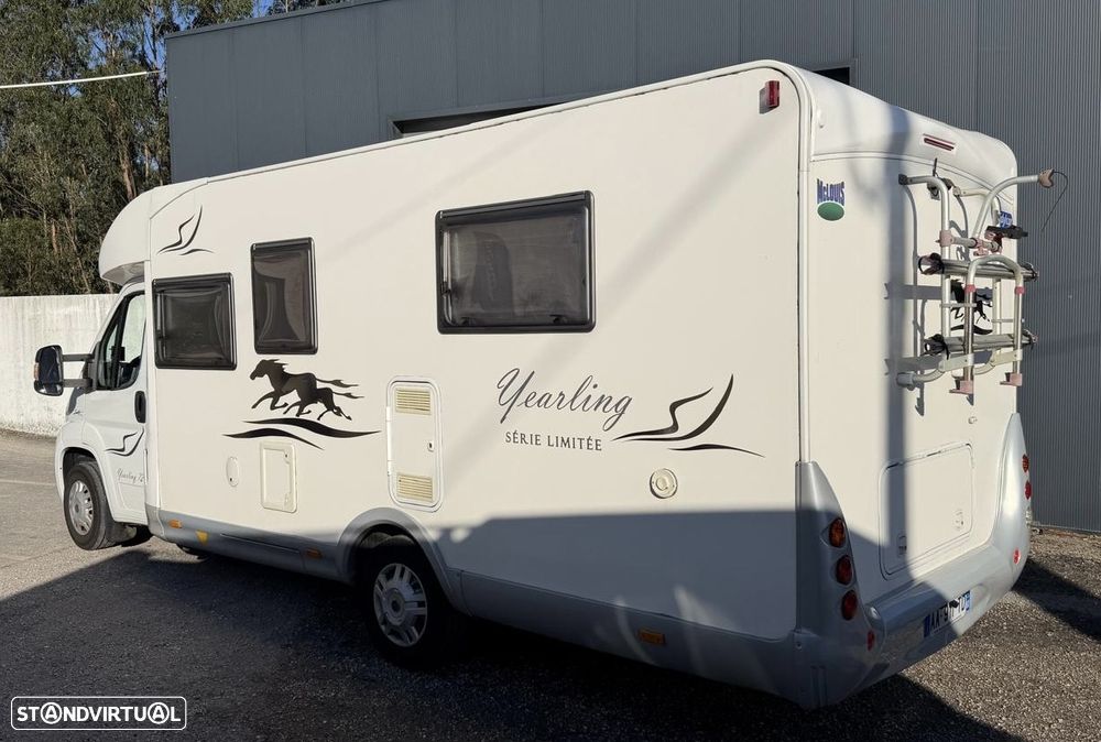 McLouis Yearling Limited Edition - 4