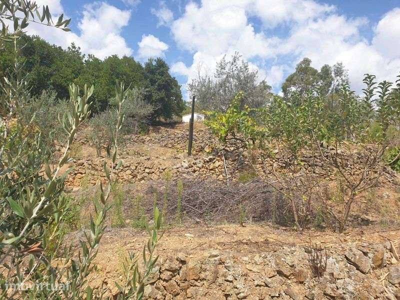 Lote de Terrenos Rústicos sitos em Oleiros - Grande imagem: 5/6