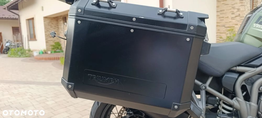 Triumph Tiger - 23