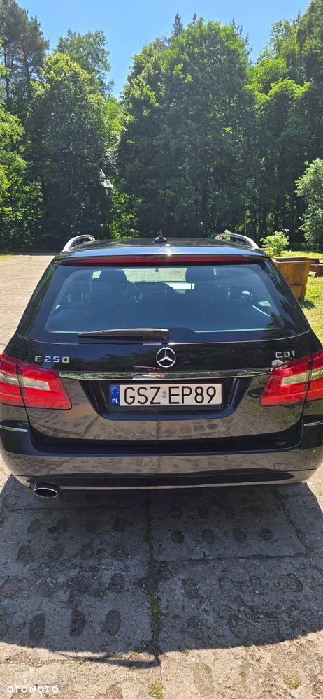 Mercedes-Benz Klasa E 250 CDI DPF BlueEFFICIENCY Automatik Avantgarde - 21