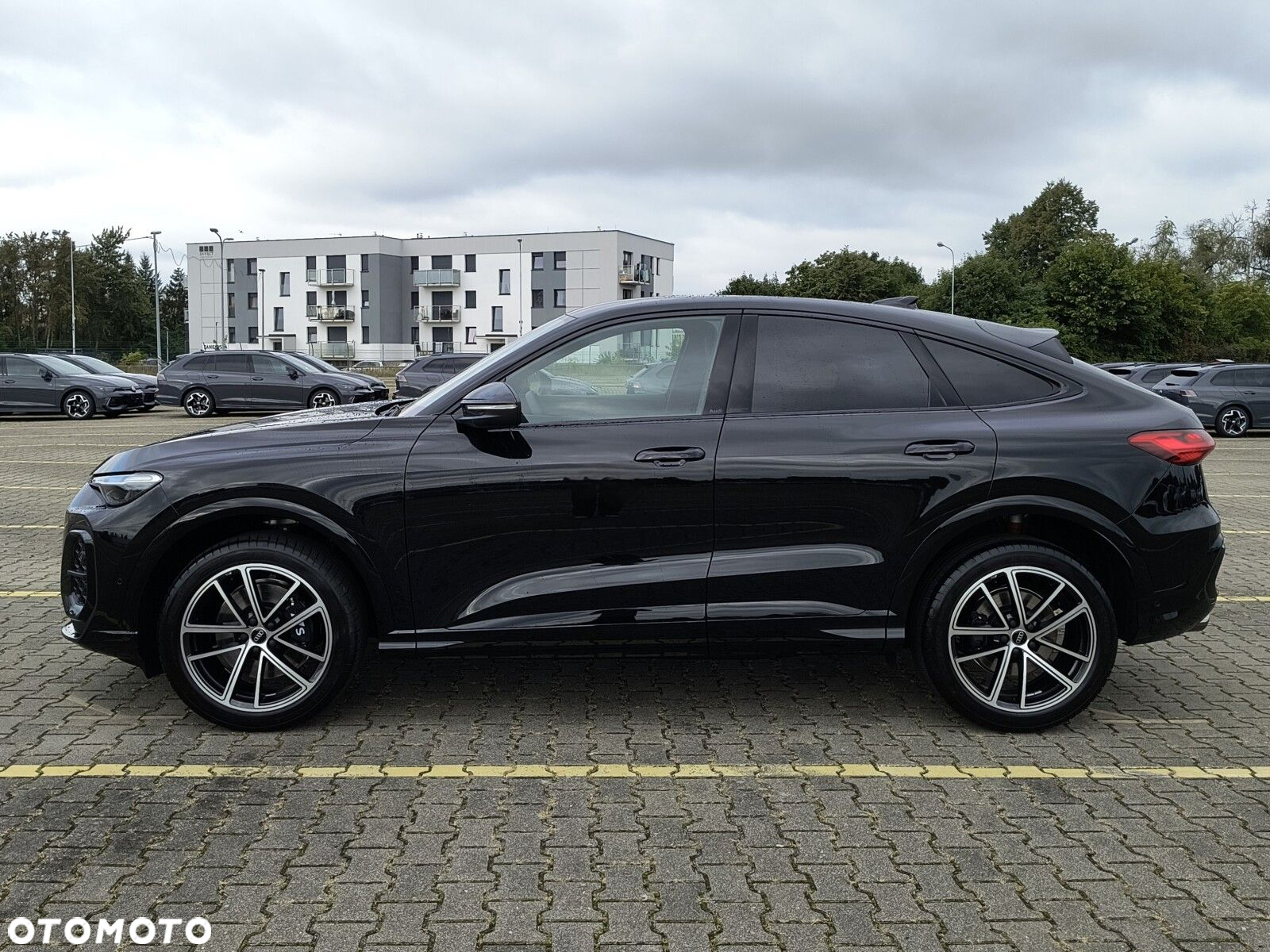 Audi SQ5 - 14