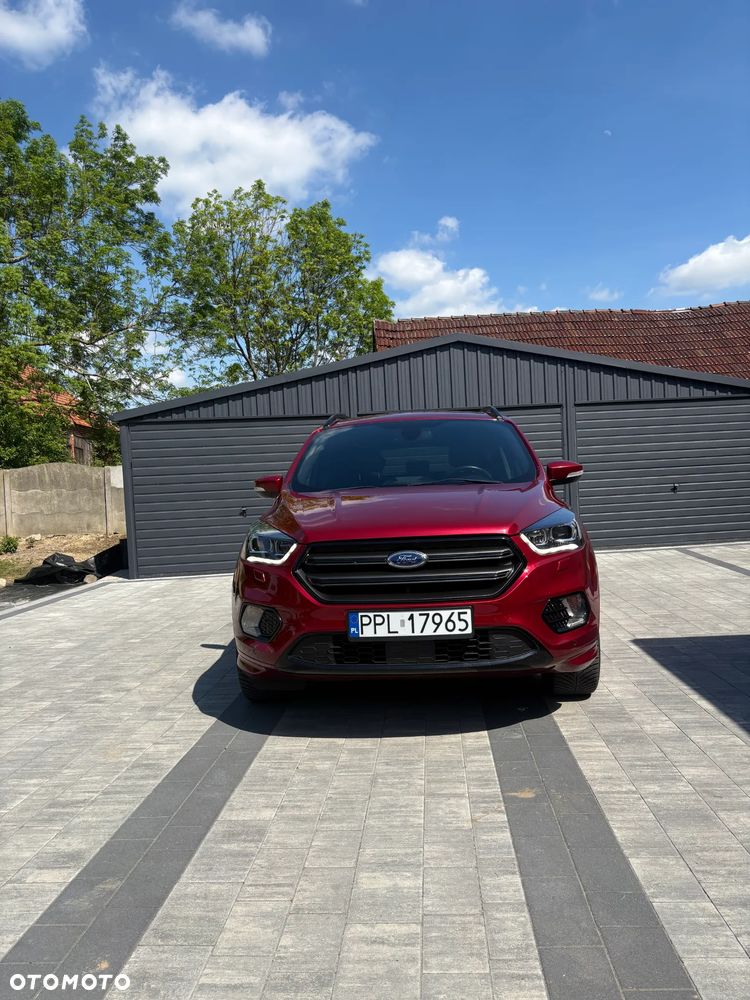 Ford Kuga 2019 photo 2