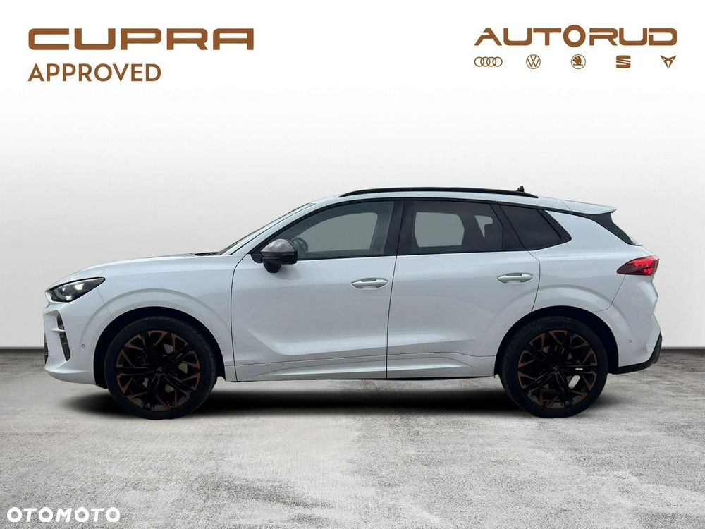 Cupra Terramar - 2