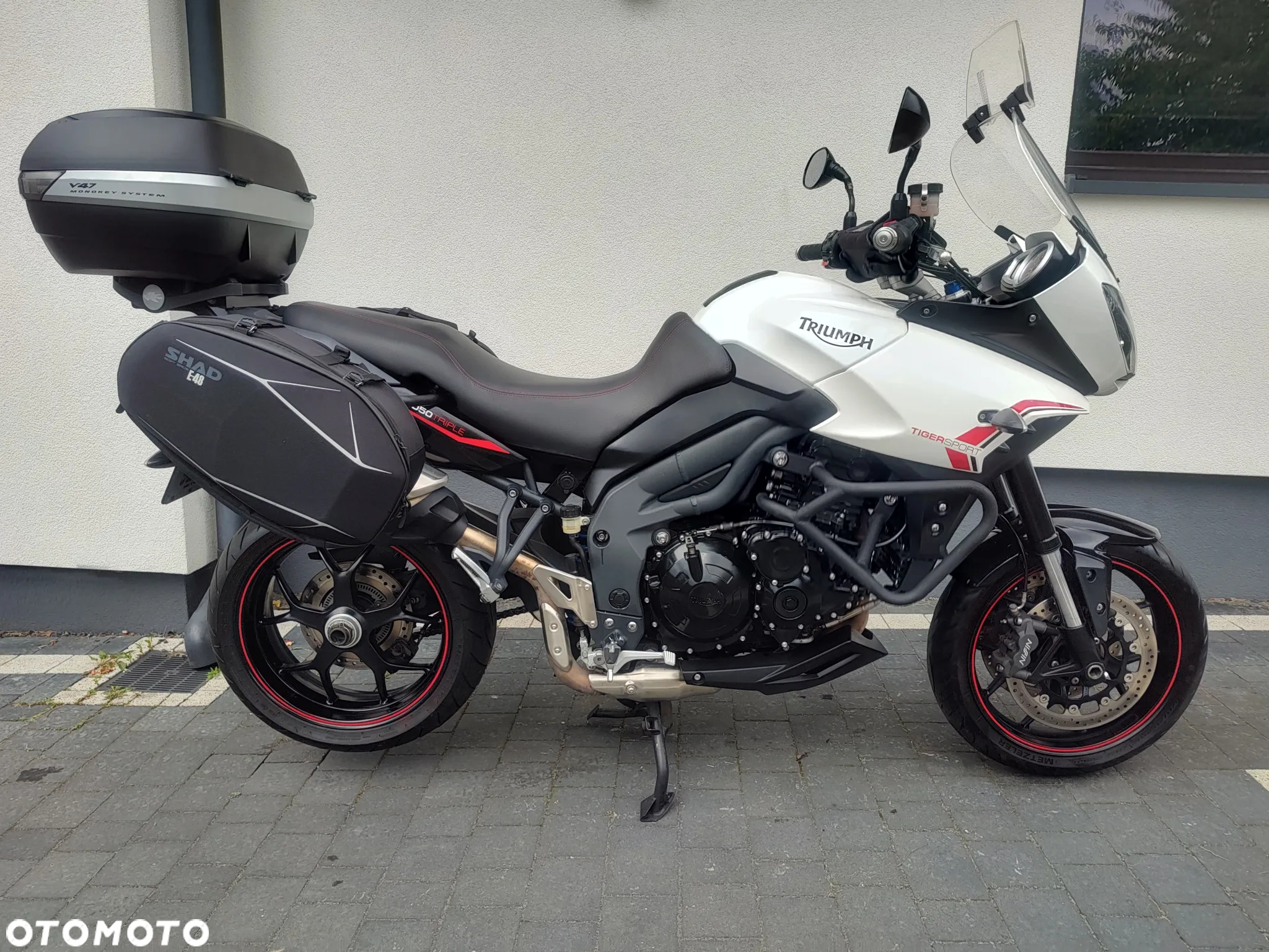 Triumph Tiger - 2