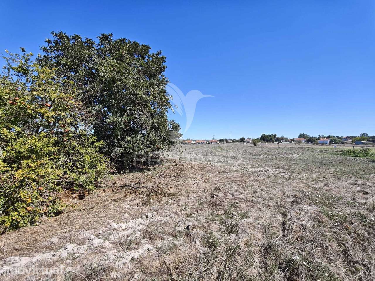 Moradia T2 | lote 5.000 m² | junto à Barragem de Magos - Grande imagem: 5/11