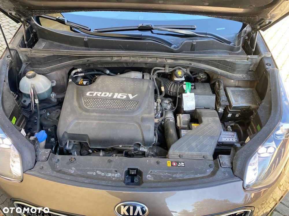 Kia Sportage - 10