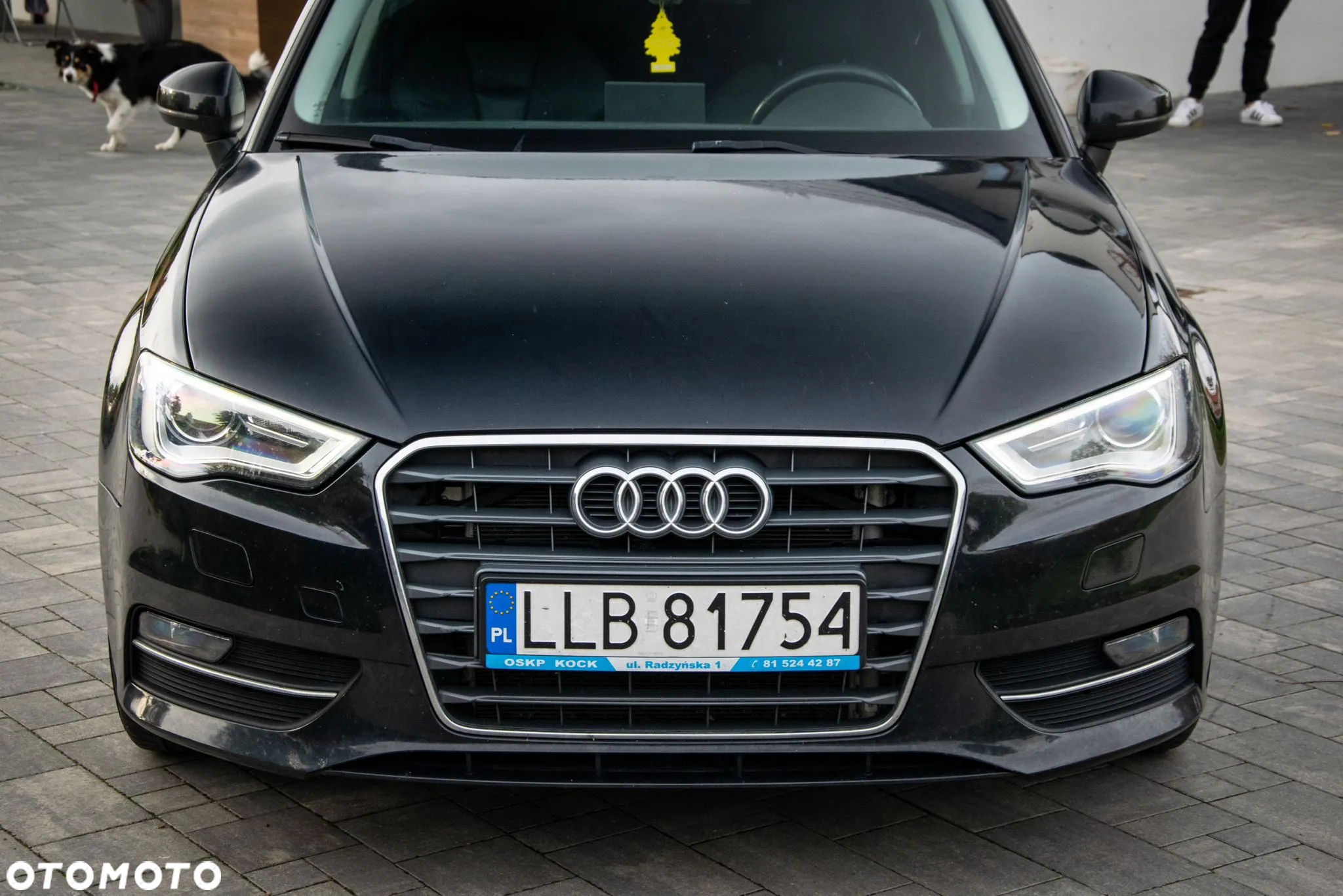 Audi A3 1.6 TDI Sportback DPF Ambiente - 3