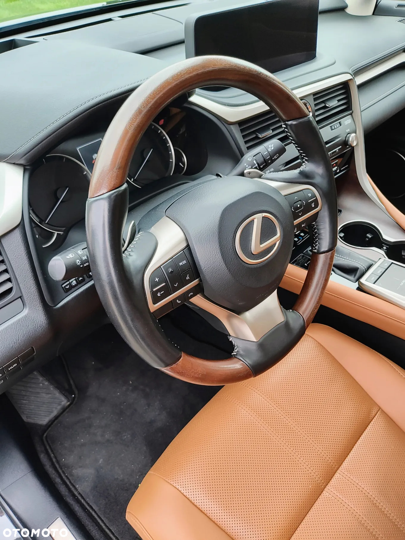 Lexus RX 450h Omotenashi - 12